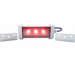 12CM 3W LED Duvar Boyama Wallwasher Kırmızı 220V
