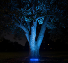 12CM 3W LED Duvar Boyama Wallwasher Mavi 220V