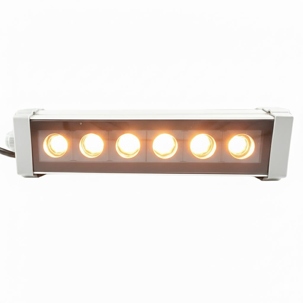 20CM 6W LED Duvar Boyama Wallwasher Gün Işığı 3000K 220V
