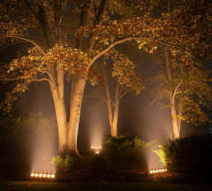 20CM 6W LED Duvar Boyama Wallwasher Gün Işığı 3000K 220V