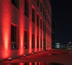 20CM 6W LED Duvar Boyama Wallwasher Kırmızı 220V