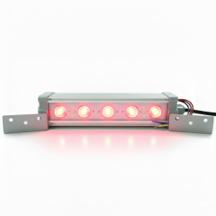 20CM 6W LED Duvar Boyama Wallwasher Kırmızı 220V