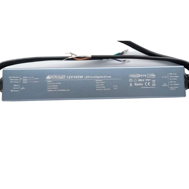 DC12V 300W 25A  DALİ DİM DT8, PUSH DİM ,0-10 DİM CCT İP67 TUNABLE