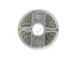 24V Şerit Led Amber (Sarı) 5050 IP65 24 Volt Şerit Led (5m)