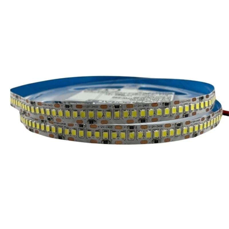 240 Ledli Sık Ledli 10mm 12V  Gün Işığı Şerit Led IP20 (5Metre)