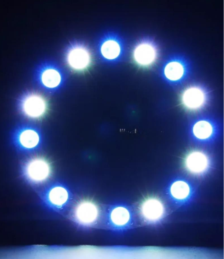 WS2812B Matrix Dijital Yuvarlak Pixel Led 45 Led Dış Çap 120mm İç Çap 100mm Halka ARGB Magic Led Ayrı Ayrı Adresli Matrix Ekran 5V
