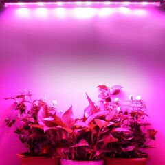 Grow Led Full Spectrum Led Alüminyum Kasalı  Bitki Büyütme Ledi 12V