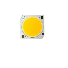 30W Ray Spot Ledi 30 Watt Gün Işığı Cob Led (Driver Dahil)