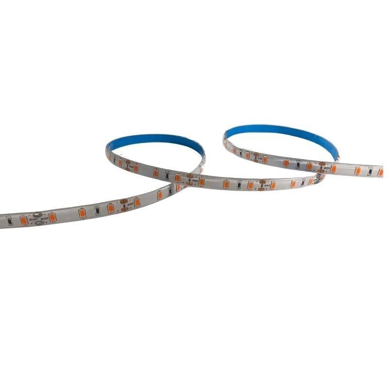 Grow Şerit Led İP65 Silikonlu Full Spectrum Şerit Led Bitki Büyütme Ledi 12V 5M