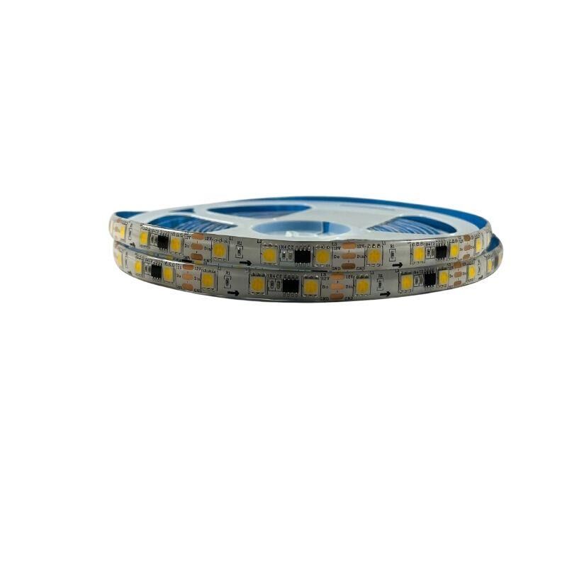 Ws2811 Gün Işığı Pixel Şerit Led 12Volt İp65 Dış mekan 5M