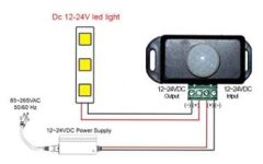 12V 24V DC Hareket Sensörü Pır Dedektör Hareket Sensörlü